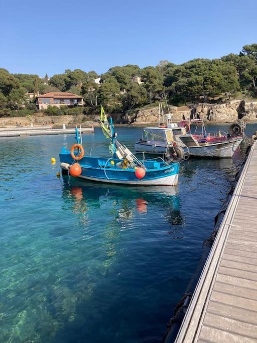 La Californienne Βίλα Carqueiranne Εξωτερικό φωτογραφία