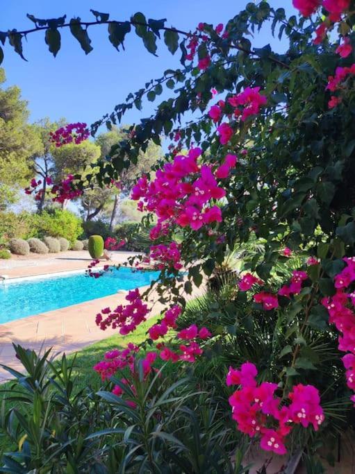 La Californienne Βίλα Carqueiranne Εξωτερικό φωτογραφία